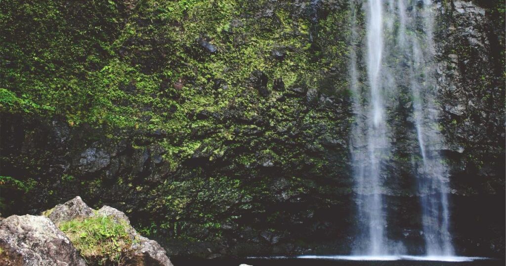 Precio empresa limpieza domicilio Sant Celoni